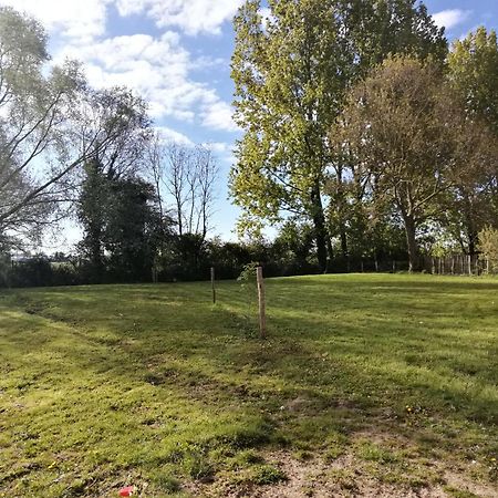 Foret De Nieppe Merville  المظهر الخارجي الصورة