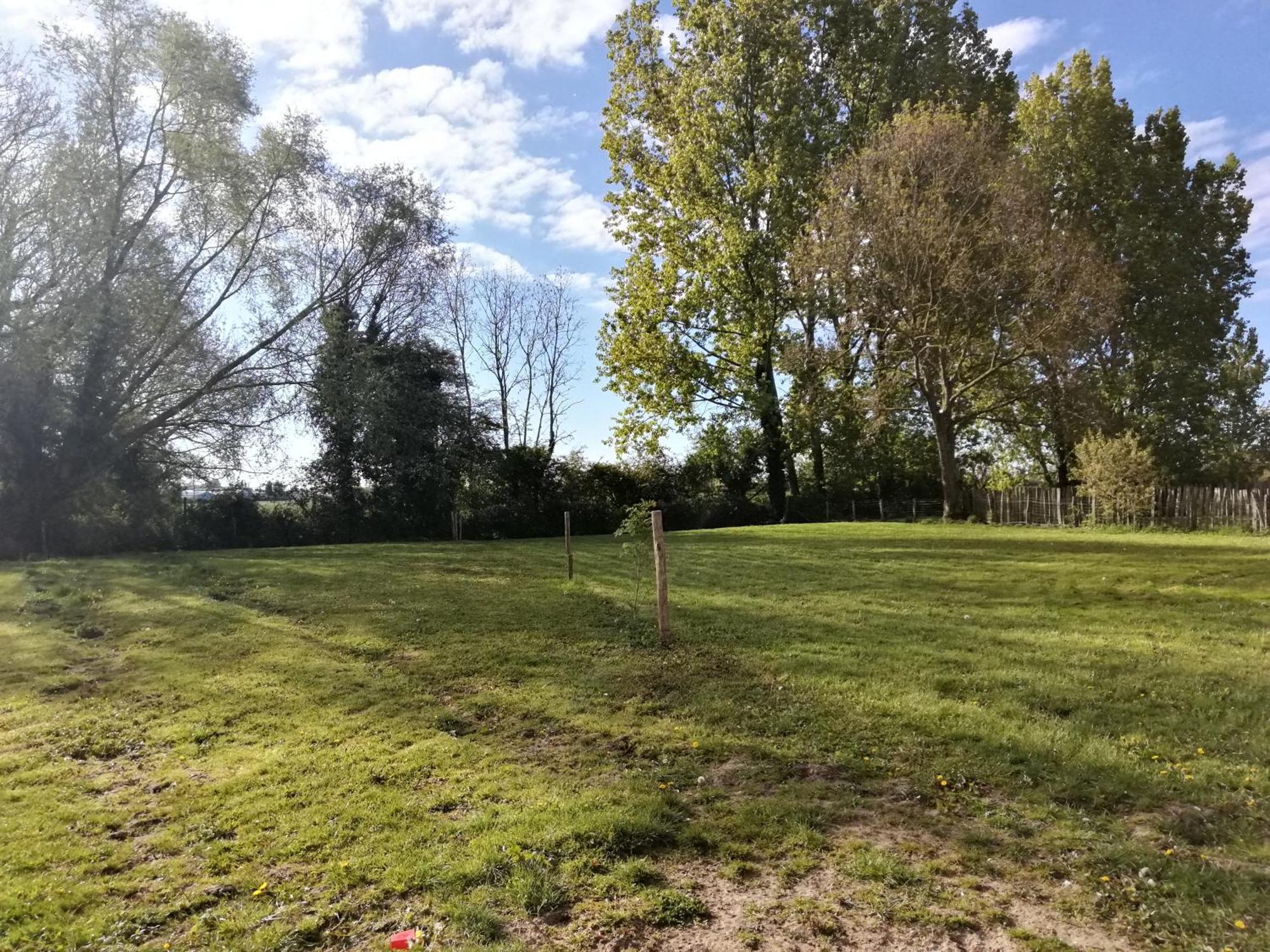 Foret De Nieppe Merville  المظهر الخارجي الصورة